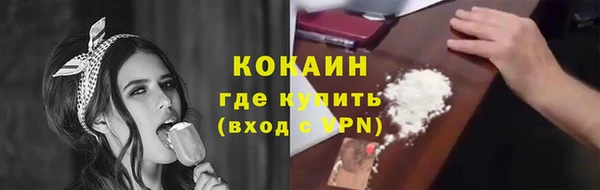 ГАЛЛЮЦИНОГЕННЫЕ ГРИБЫ Новозыбков