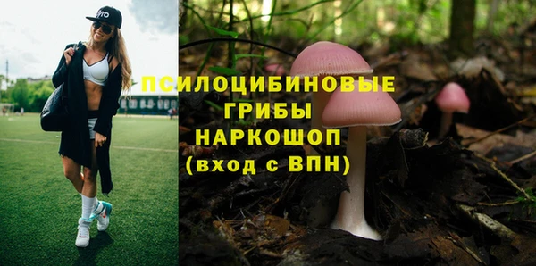 гашишное масло Новодвинск