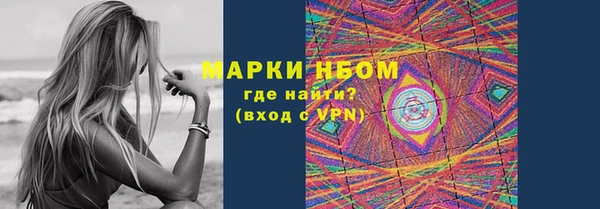 ГАЛЛЮЦИНОГЕННЫЕ ГРИБЫ Новозыбков
