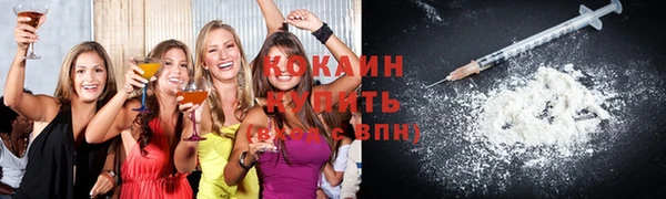 тгк Няндома